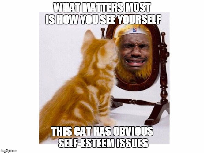 Lebron Reflection | WHAT MATTERS MOST IS HOW YOU SEE YOURSELF; THIS CAT HAS OBVIOUS SELF-ESTEEM ISSUES | image tagged in cat in mirror | made w/ Imgflip meme maker