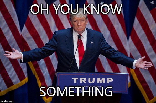 Trump Bruh | OH YOU KNOW SOMETHING | image tagged in trump bruh | made w/ Imgflip meme maker