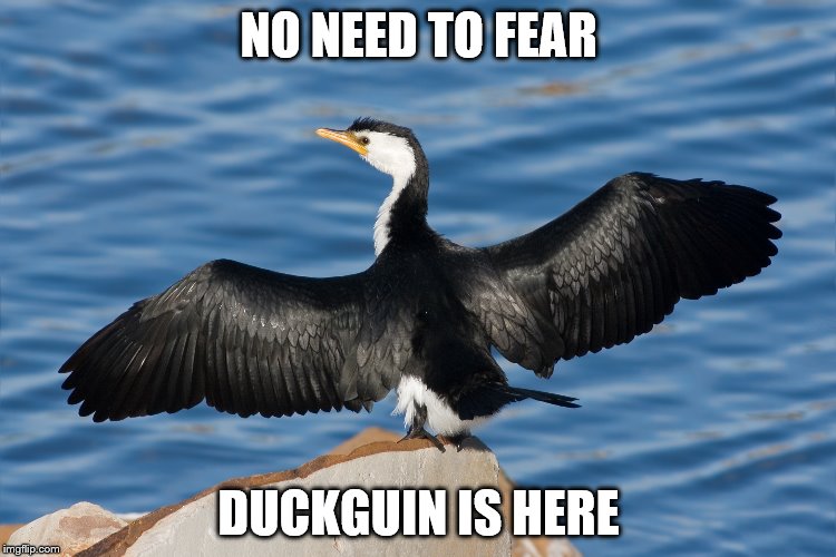 Duckguin | NO NEED TO FEAR; DUCKGUIN IS HERE | image tagged in duckguin | made w/ Imgflip meme maker