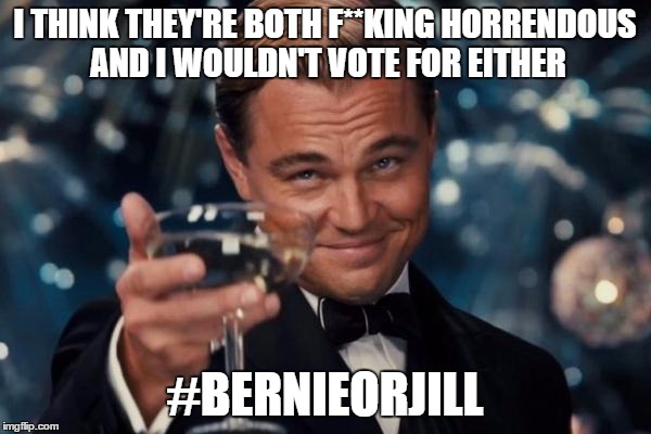 Leonardo Dicaprio Cheers Meme | I THINK THEY'RE BOTH F**KING HORRENDOUS AND I WOULDN'T VOTE FOR EITHER #BERNIEORJILL | image tagged in memes,leonardo dicaprio cheers | made w/ Imgflip meme maker