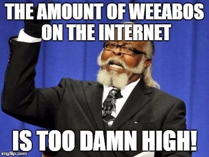 Literally all people talk about on game servers nowadays... | THE AMOUNT OF WEEABOS ON THE INTERNET; IS TOO DAMN HIGH! | image tagged in memes,too damn high | made w/ Imgflip meme maker