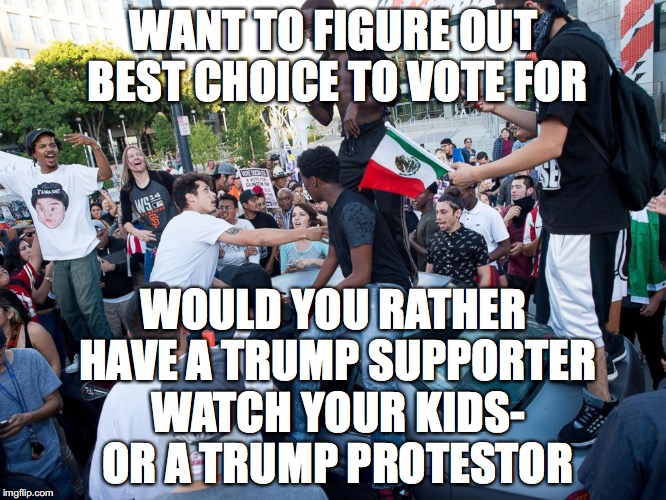 Lib protestors | WANT TO FIGURE OUT BEST CHOICE TO VOTE FOR; WOULD YOU RATHER HAVE A TRUMP SUPPORTER WATCH YOUR KIDS-  OR A TRUMP PROTESTOR | image tagged in lib protestors | made w/ Imgflip meme maker
