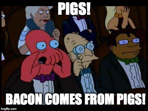 it's not hard people | PIGS! BACON COMES FROM PIGS! | image tagged in memes,you should feel bad zoidberg,bacon,pig,turkey bacon,futurama | made w/ Imgflip meme maker