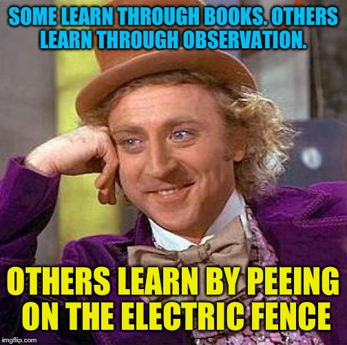 One of my friends said this the other day, thought it'd make a good meme :D | SOME LEARN THROUGH BOOKS. OTHERS LEARN THROUGH OBSERVATION. OTHERS LEARN BY PEEING ON THE ELECTRIC FENCE | image tagged in memes,creepy condescending wonka,funny | made w/ Imgflip meme maker