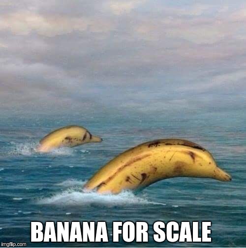 funny | BANANA FOR SCALE | image tagged in not funny | made w/ Imgflip meme maker