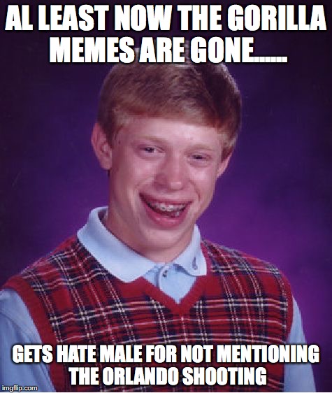 Bad Luck Brian | AL LEAST NOW THE GORILLA MEMES ARE GONE...... GETS HATE MALE FOR NOT MENTIONING THE ORLANDO SHOOTING | image tagged in memes,bad luck brian | made w/ Imgflip meme maker
