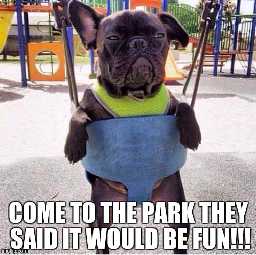 fun my ass  | COME TO THE PARK THEY SAID IT WOULD BE FUN!!! | image tagged in dogs | made w/ Imgflip meme maker