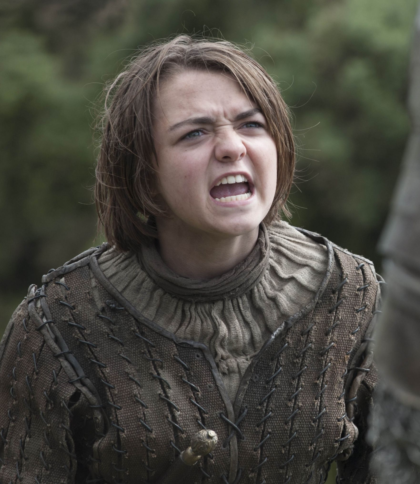 High Quality Arya Stark Blank Meme Template