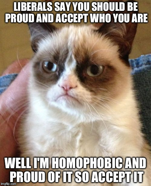Grumpy Cat Meme | LIBERALS SAY YOU SHOULD BE PROUD AND ACCEPT WHO YOU ARE; WELL I'M HOMOPHOBIC AND PROUD OF IT SO ACCEPT IT | image tagged in memes,grumpy cat | made w/ Imgflip meme maker