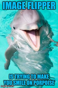 Image flipper | IMAGE FLIPPER; IS TRYING TO MAKE YOU SMILE ON PORPOISE | image tagged in dolphins | made w/ Imgflip meme maker