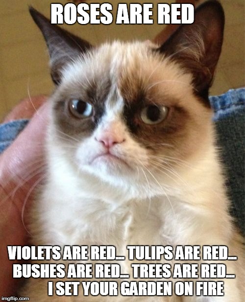 Grumpy Cat | ROSES ARE RED; VIOLETS ARE RED... TULIPS ARE RED... BUSHES ARE RED... TREES ARE RED...         I SET YOUR GARDEN ON FIRE | image tagged in memes,grumpy cat | made w/ Imgflip meme maker