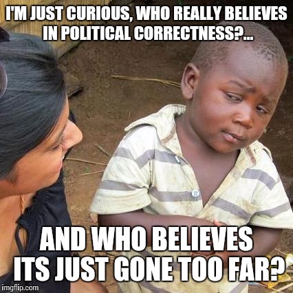 An honest question...i would like to know | I'M JUST CURIOUS, WHO REALLY BELIEVES IN POLITICAL CORRECTNESS?... AND WHO BELIEVES ITS JUST GONE TOO FAR? | image tagged in memes,third world skeptical kid,reality,the real world | made w/ Imgflip meme maker