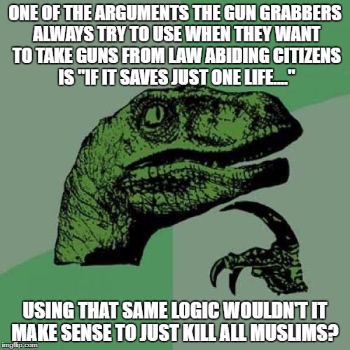 Philosoraptor | ONE OF THE ARGUMENTS THE GUN GRABBERS ALWAYS TRY TO USE WHEN THEY WANT TO TAKE GUNS FROM LAW ABIDING CITIZENS IS "IF IT SAVES JUST ONE LIFE...."; USING THAT SAME LOGIC WOULDN'T IT MAKE SENSE TO JUST KILL ALL MUSLIMS? | image tagged in memes,philosoraptor | made w/ Imgflip meme maker
