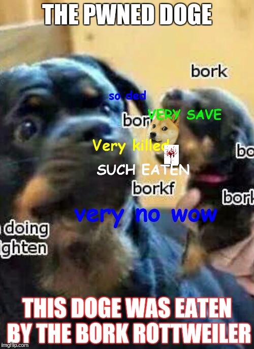 THE PWNED DOGE; THIS DOGE WAS EATEN BY THE BORK ROTTWEILER | image tagged in doge eaten by the bork rottweiler | made w/ Imgflip meme maker