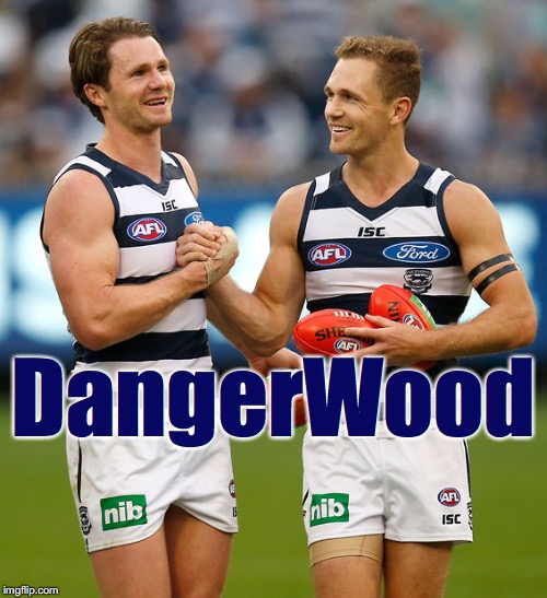 DangerWood | DangerWood | image tagged in afl,geelongcats | made w/ Imgflip meme maker