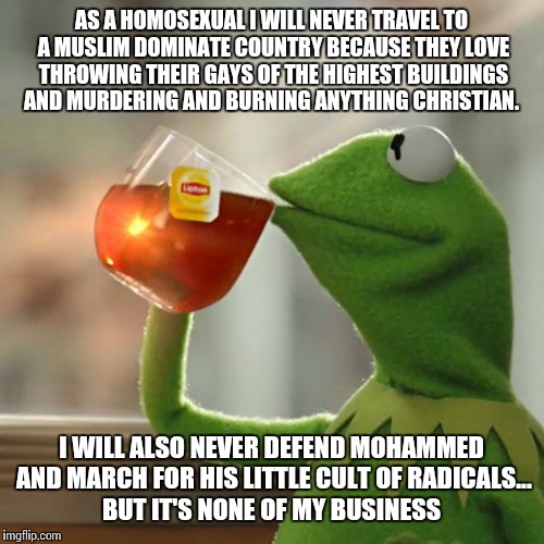 But That's None Of My Business | AS A HOMOSEXUAL I WILL NEVER TRAVEL TO A MUSLIM DOMINATE COUNTRY BECAUSE THEY LOVE THROWING THEIR GAYS OF THE HIGHEST BUILDINGS AND MURDERING AND BURNING ANYTHING CHRISTIAN. I WILL ALSO NEVER DEFEND MOHAMMED AND MARCH FOR HIS LITTLE CULT OF RADICALS... BUT IT'S NONE OF MY BUSINESS | image tagged in memes,but thats none of my business,kermit the frog | made w/ Imgflip meme maker