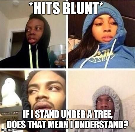 *Hits blunt | *HITS BLUNT*; IF I STAND UNDER A TREE, DOES THAT MEAN I UNDERSTAND? | image tagged in hits blunt | made w/ Imgflip meme maker
