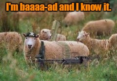 I'm baaaa-ad and I know it. | made w/ Imgflip meme maker