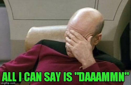 Captain Picard Facepalm Meme | ALL I CAN SAY IS "DAAAMMN" | image tagged in memes,captain picard facepalm | made w/ Imgflip meme maker