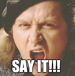 Say it Sam | SAY IT!!! | image tagged in say it sam | made w/ Imgflip meme maker