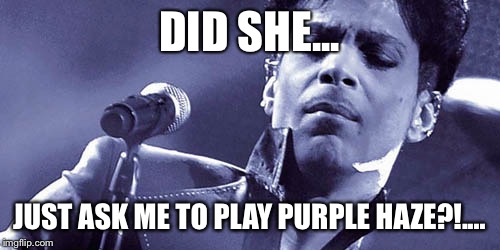 DID SHE... JUST ASK ME TO PLAY PURPLE HAZE?!.... | image tagged in prince | made w/ Imgflip meme maker