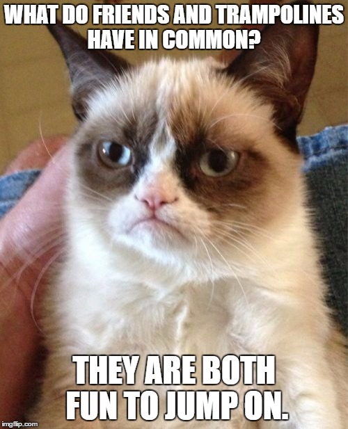 Grumpy Cat | WHAT DO FRIENDS AND TRAMPOLINES HAVE IN COMMON? THEY ARE BOTH FUN TO JUMP ON. | image tagged in memes,grumpy cat | made w/ Imgflip meme maker