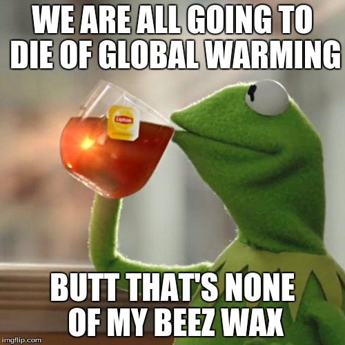 But That's None Of My Business | WE ARE ALL GOING TO DIE OF GLOBAL WARMING; BUTT THAT'S NONE OF MY BEEZ WAX | image tagged in memes,but thats none of my business,kermit the frog | made w/ Imgflip meme maker