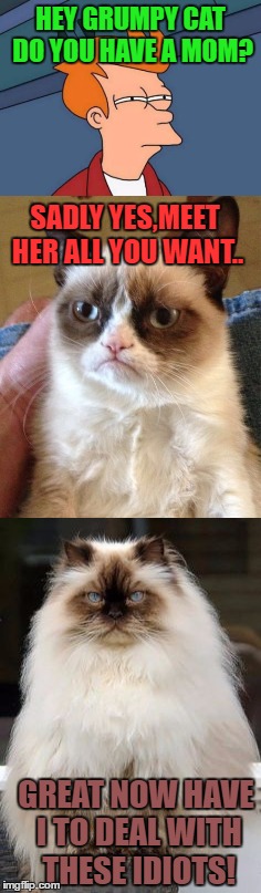 Hey I met Grumpy cats mother! | HEY GRUMPY CAT DO YOU HAVE A MOM? SADLY YES,MEET HER ALL YOU WANT.. GREAT NOW HAVE I TO DEAL WITH THESE IDIOTS! | image tagged in grumpy cat,grumpy cats mother | made w/ Imgflip meme maker