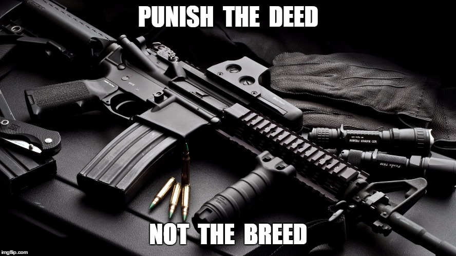 ar15 | PUNISH  THE  DEED; NOT  THE  BREED | image tagged in ar15 | made w/ Imgflip meme maker
