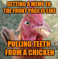 Chickens have teeth? | GETTING A MEME TO THE FRONT PAGE IS LIKE; PULLING TEETH FROM A CHICKEN | image tagged in chicken | made w/ Imgflip meme maker