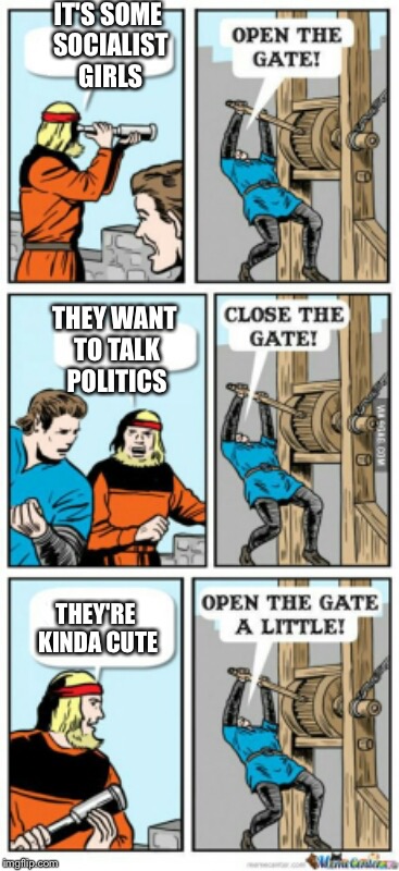 Talking politics with socialist girls | IT'S SOME SOCIALIST GIRLS; THEY WANT TO TALK POLITICS; THEY'RE KINDA CUTE | image tagged in open the gate a little,socialism,memes | made w/ Imgflip meme maker