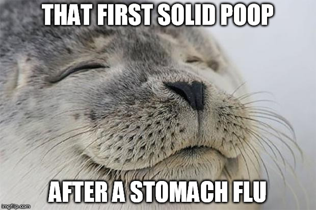 Satisfied Seal | THAT FIRST SOLID POOP; AFTER A STOMACH FLU | image tagged in memes,satisfied seal,AdviceAnimals | made w/ Imgflip meme maker