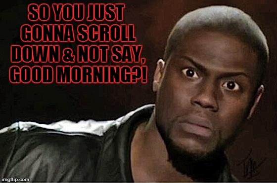 Kevin Hart | SO YOU JUST GONNA SCROLL DOWN & NOT SAY, GOOD MORNING?! | image tagged in kevin hart | made w/ Imgflip meme maker