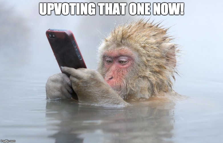 monkey in a hot tub with iphone | UPVOTING THAT ONE NOW! | image tagged in monkey in a hot tub with iphone | made w/ Imgflip meme maker