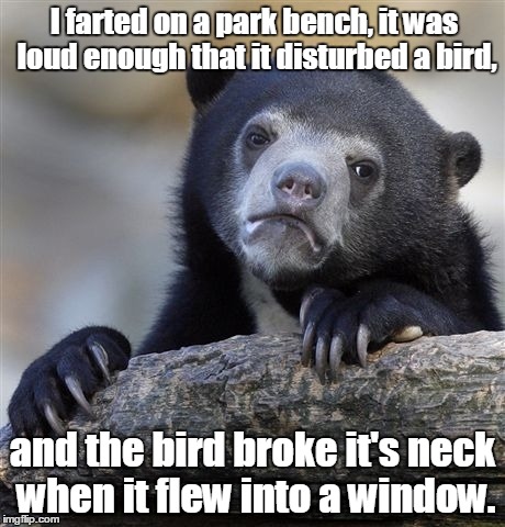 Confession Bear | I farted on a park bench, it was loud enough that it disturbed a bird, and the bird broke it's neck when it flew into a window. | image tagged in memes,confession bear | made w/ Imgflip meme maker