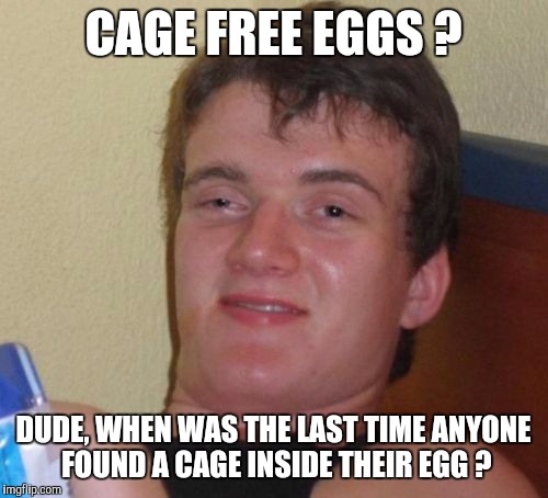 10 Guy Meme | CAGE FREE EGGS ? DUDE, WHEN WAS THE LAST TIME ANYONE FOUND A CAGE INSIDE THEIR EGG ? | image tagged in memes,10 guy | made w/ Imgflip meme maker
