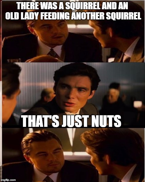 THERE WAS A SQUIRREL AND AN OLD LADY FEEDING ANOTHER SQUIRREL THAT'S JUST NUTS | made w/ Imgflip meme maker
