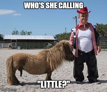 WHO'S SHE CALLING "LITTLE?" | made w/ Imgflip meme maker