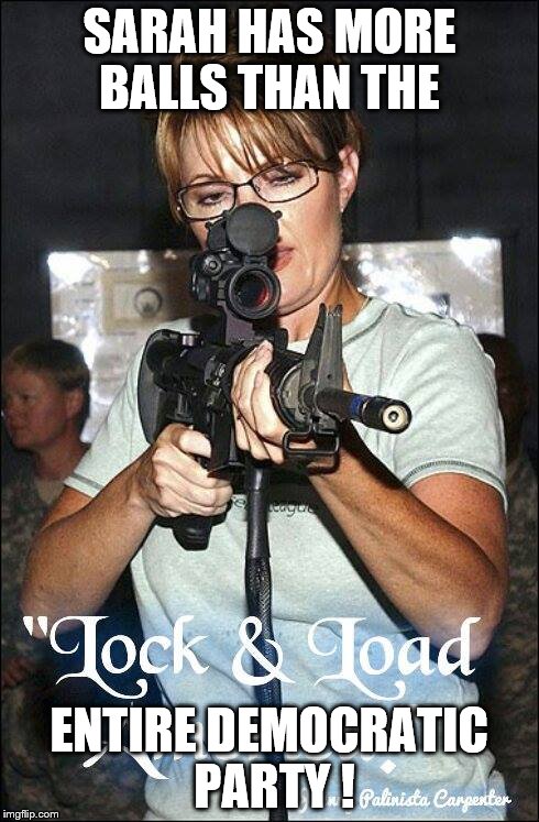 SARAH HAS MORE BALLS THAN THE; ENTIRE DEMOCRATIC PARTY ! | image tagged in palin | made w/ Imgflip meme maker