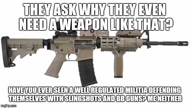 Ar15 | THEY ASK WHY THEY EVEN NEED A WEAPON LIKE THAT? HAVE YOU EVER SEEN A WELL REGULATED MILITIA DEFENDING THEMSELVES WITH SLINGSHOTS AND BB GUNS? ME NEITHER | image tagged in ar15 | made w/ Imgflip meme maker