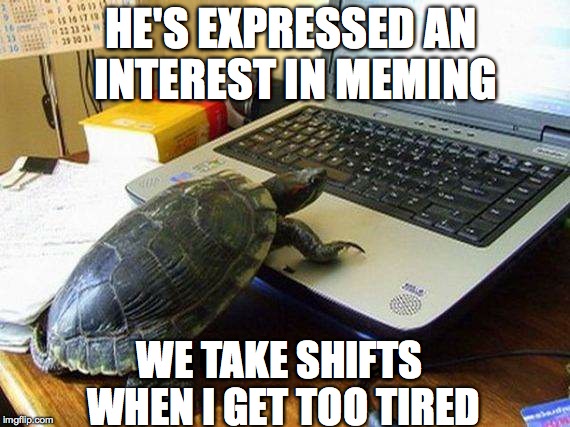 Hehehehe | HE'S EXPRESSED AN INTEREST IN MEMING; WE TAKE SHIFTS WHEN I GET TOO TIRED | image tagged in memes,funny,animals,cute,lol,imgflip | made w/ Imgflip meme maker