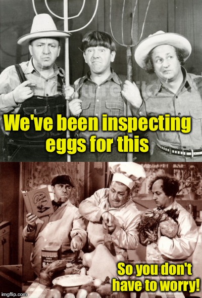We've been inspecting eggs for this So you don't have to worry! | made w/ Imgflip meme maker