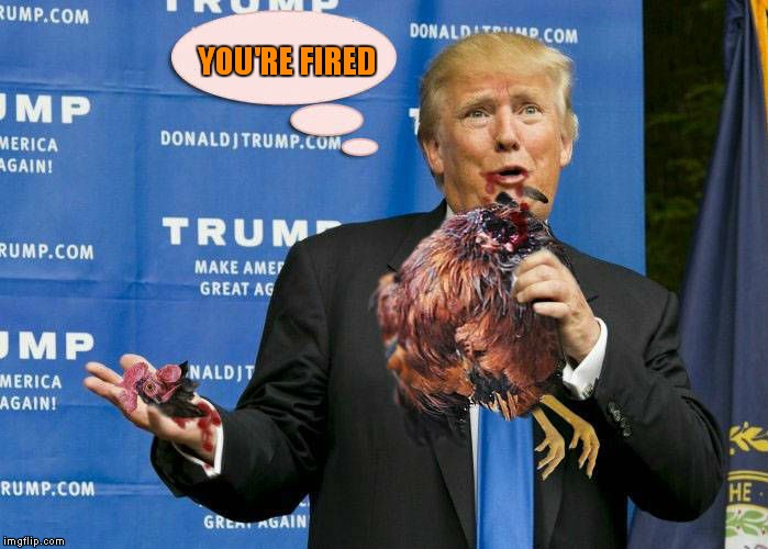 YOU'RE FIRED | made w/ Imgflip meme maker