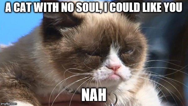 A CAT WITH NO SOUL, I COULD LIKE YOU NAH | made w/ Imgflip meme maker