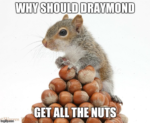 Gray Squirrel with pile of nuts | WHY SHOULD DRAYMOND; GET ALL THE NUTS | image tagged in gray squirrel with pile of nuts | made w/ Imgflip meme maker