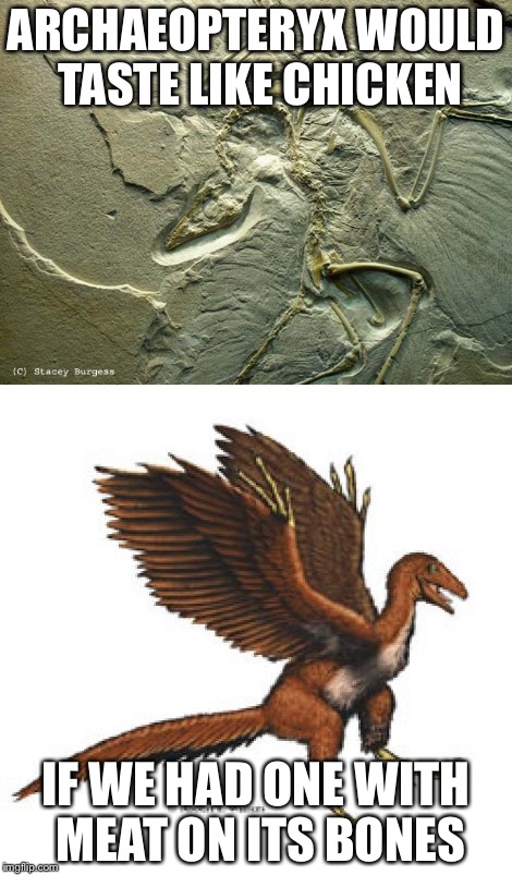 Tastes like chicken | ARCHAEOPTERYX WOULD TASTE LIKE CHICKEN; IF WE HAD ONE WITH MEAT ON ITS BONES | image tagged in archeopteryx,memes | made w/ Imgflip meme maker