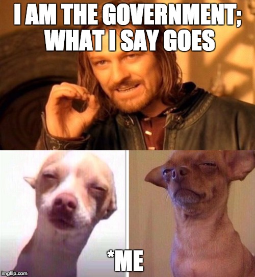 Nope, not happening | I AM THE GOVERNMENT; WHAT I SAY GOES; *ME | image tagged in government,distrust,i don't think so,never,government bullshit,evil government | made w/ Imgflip meme maker