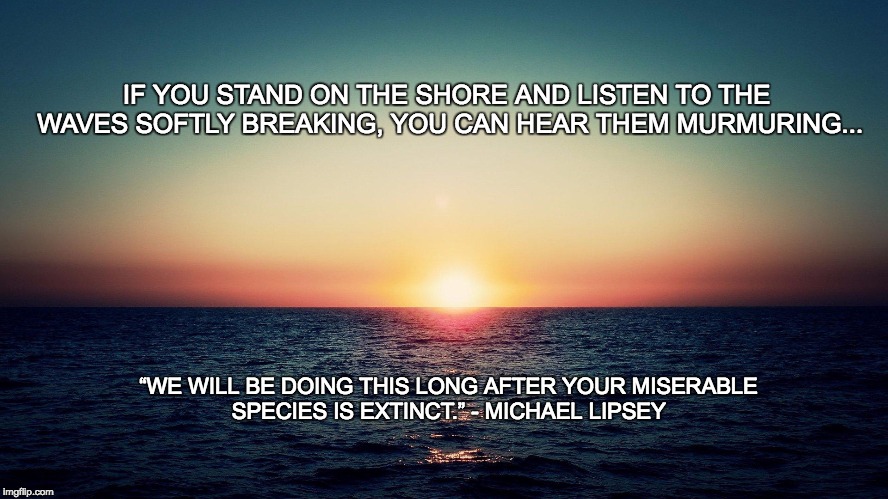 Humans | IF YOU STAND ON THE SHORE AND LISTEN TO THE WAVES SOFTLY BREAKING, YOU CAN HEAR THEM MURMURING... “WE WILL BE DOING THIS LONG AFTER YOUR MISERABLE SPECIES IS EXTINCT.” - MICHAEL LIPSEY | image tagged in philosophy | made w/ Imgflip meme maker