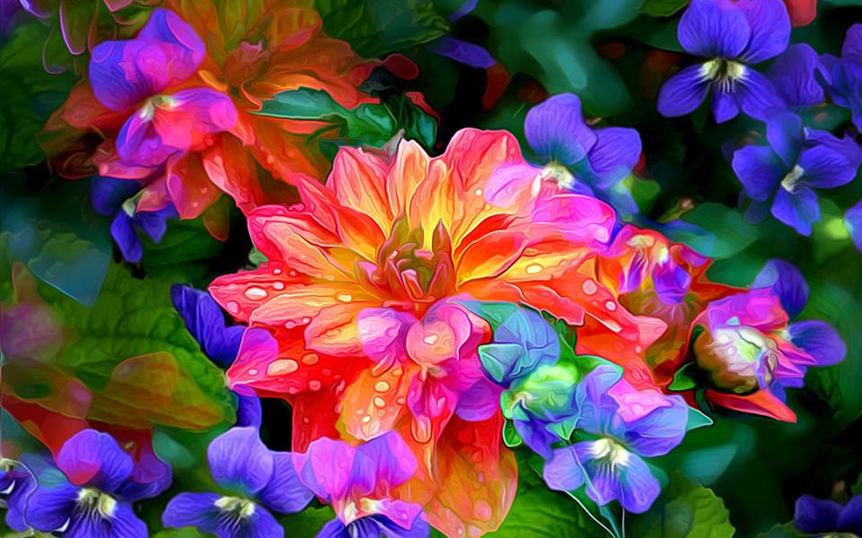 High Quality colorful flowers Blank Meme Template