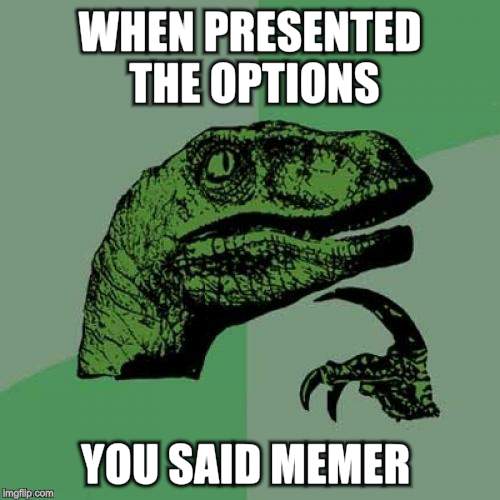 Philosoraptor Meme | WHEN PRESENTED THE OPTIONS YOU SAID MEMER | image tagged in memes,philosoraptor | made w/ Imgflip meme maker